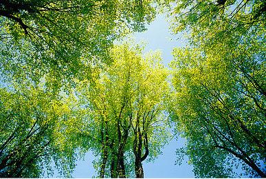 世嘉MD2主机宣传片 展示最终新增游戏列表